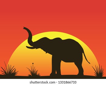 Vector illustration of Africa landscape with elephant and sunset background