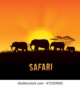 Vector illustration of Africa landscape with elephant and sunset background. Safari theme