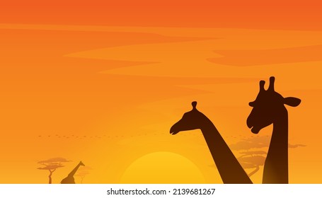 Vector illustration of Africa landscape with ostrich and sunset background. Safari theme