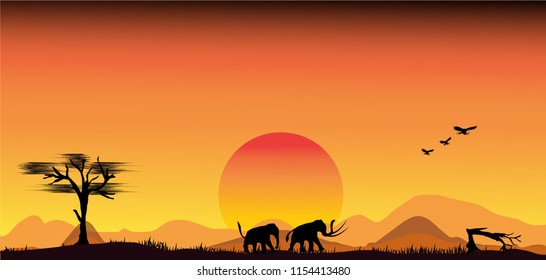 Vector illustration of Africa landscape with wildlife and sunset background. Safari theme,Silhouettes of wild African elephant sunset safari animals.
