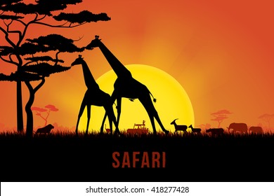 Vector illustration of Africa landscape with wildlife and sunset background. Safari theme