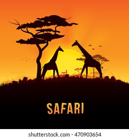 Vector illustration of Africa landscape with wildlife and sunset background. Safari theme