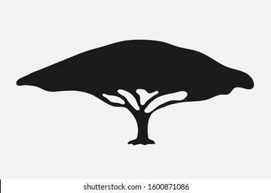 Vector illustration of the african acacia tree