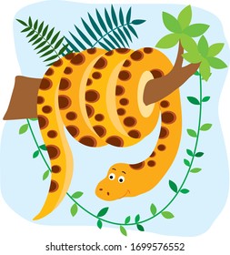 Vector illustration with african animals on a white background. Cute boa in cartoon style.