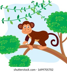 Vector illustration with african animals on a white background. Cute monkey in cartoon style.
