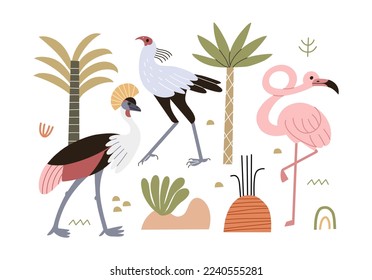 Vector illustration with African birds and flamingos. Vector illustration in hand drawn style