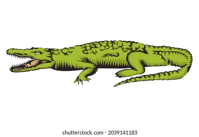 Vector illustration of African crocodile in vintage style isolated on white background