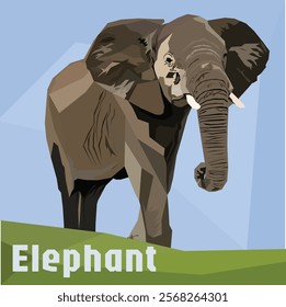 Vector illustration of African elephant