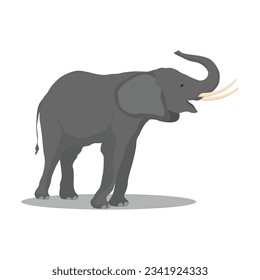 Vector illustration african elephant. Female and male african-asian savanna elephant in different poses. Wild animal of big mammal animal africa in cartoon flat style.