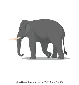 Vector illustration african elephant. Female and male african-asian savanna elephant in different poses. Wild animal of big mammal animal africa in cartoon flat style.