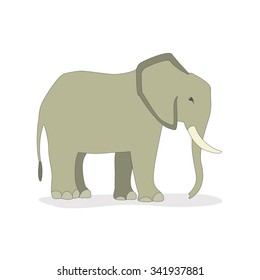 Vector illustration of an african elephant. Isolated on a white background,
