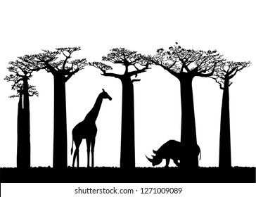 Vector illustration of an African landscape with baobab trees. Black silhouette of a giraffe and a rhinoceros.