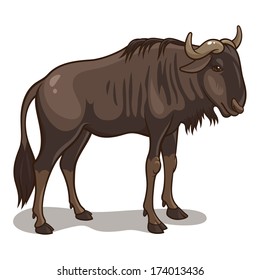 Vector illustration of an african wildebeest isolated on a white background