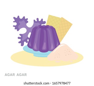 Vector illustration of Agar on a plate and red algae. Food additive on a white background.