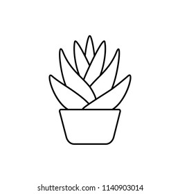 Vector illustration of agave cactus in the pot. Desert plant for terrarium and rock garden. Line icon of succulent. Isolated object on white background. 