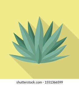 Vector illustration of agave and tequila symbol. Web element of agave and blue vector icon for Stock.