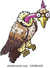 The vector illustration of the aggressive wild vulture staring at camera.