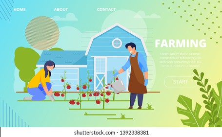 Vector Illustration Agricultural Crops Farming. Married Couple Working on  Farm and Laughing. Man and Woman Work Clothes and Gloves Pour Tomatoes on Field. Flat Banner Landing Page.