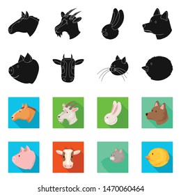 Vector illustration of agriculture and breeding logo. Collection of agriculture and organic stock vector illustration.