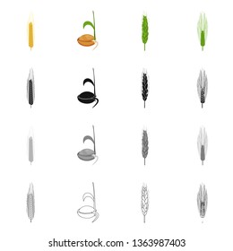 Vector illustration of agriculture and farming icon. Collection of agriculture and plant  vector icon for stock.