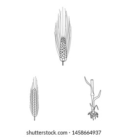 Vector illustration of agriculture and farming icon. Set of agriculture and plant stock vector illustration.
