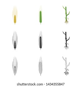 Vector illustration of agriculture and farming sign. Collection of agriculture and plant stock vector illustration.