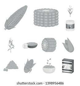 Vector illustration of agriculture and nutrition icon. Set of agriculture and vegetable vector icon for stock.
