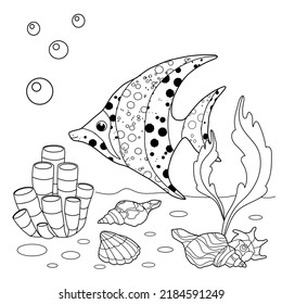 Vector illustration with algae and fish, sea floor.  Black lines, sketch on a white background.