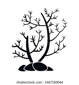 Vector illustration of algae and floral icon. Collection of algae and tropical vector icon for stock.