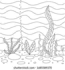 Vector illustration and algae