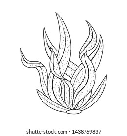 Vector illustration of algae and vegan symbol. Collection of algae and organic stock symbol for web.