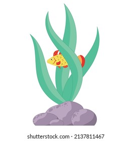 vector illustration algae and yellow fish on a white background.