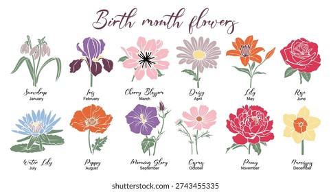 Vector illustration of all 12 birth month flowers in flat, colorful style with names and months, arranged neatly on a clean white background.