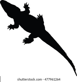 Vector illustration of alligator silhouette isolated on white