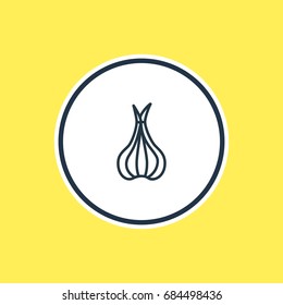 Vector Illustration Of Allium Outline. Beautiful Food Element Also Can Be Used As Sativum Element.