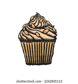 Vector illustration of an almond  cupcake