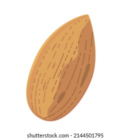 Ilustración vectorial de almendra aislada sobre fondo blanco.