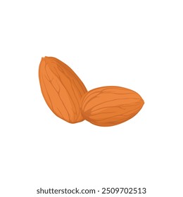 Vector illustration of almond nut in cartoon flat style. Delicious tasty almond snack, raw almonds in shell, crunchy almond nuts on white, labeling for healthy breakfast, meals, desserts. 