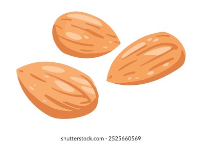 Vector Illustration of Almond Nut in Cartoon Flat Style. Delicious Tasty Almond Snack, Raw Almonds in Shell. Crunchy Almond Nuts on White. Ideal for Healthy Breakfast, Meals, and Desserts.