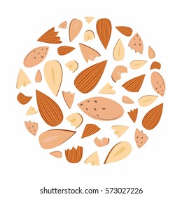 vector illustration of  almond nuts in circle shape design 