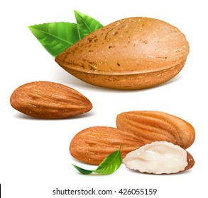 Vector illustration of almonds. Fully editable handmade mesh. 