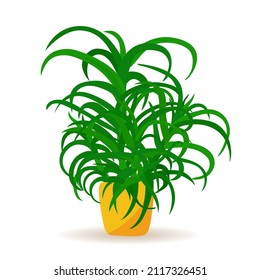 Vector illustration of an aloe in cartoon style isolated on a white background.