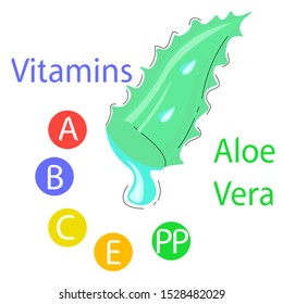 Vector illustration of aloe leaf from which juice oozes.
