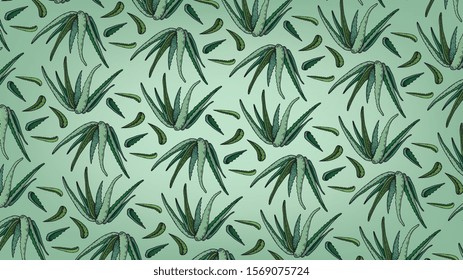 Vector Illustration of Aloe Pattern Plant Sketch Style