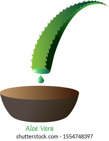 vector illustration of an aloe vera and a bowl for medicines for use as a website logo, product, print, postcard, business card