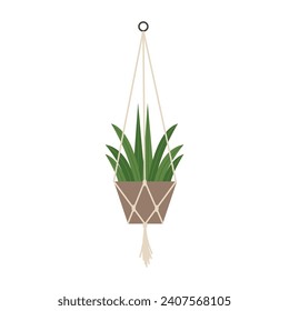 Vector illustration of aloe vera in a hanging pot using macrame technique.