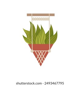 Vector illustration of an aloe vera plant in a flower pot decorated with a macrame pattern. It is ideal as a graphic image for projects inspired by nature.