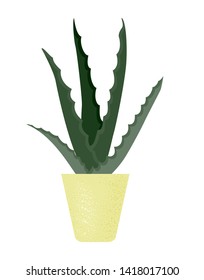 Vector illustration of aloe vera in a pot. Beautiful floral design elements.