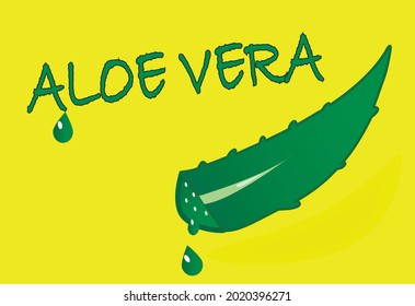 vector illustration of aloe vera with text on yellow background. Cosmetic product for skin care.
