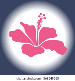 Vector illustration. Aloha typography with pink and blue hibiscus isolated icon for t-shirt print.